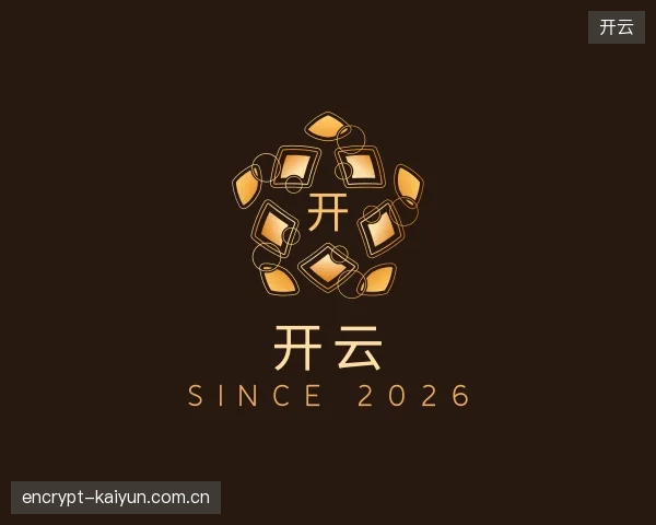 解读开云公司